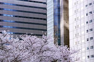 リフォームをしたいなら横須賀市の会社
