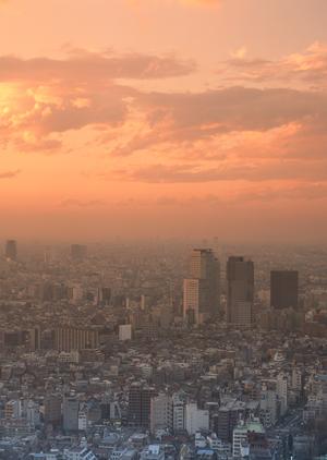 タイランドの不動産会社について