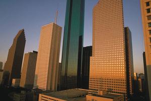 エクステリアのワイズギャラリー