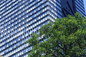 バンコクで不動産のことを頼むなら