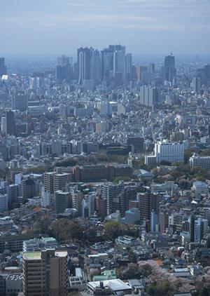 施工計画書の極意：2026年最新版で押さえる成功のポイント