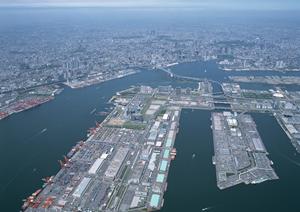 ニセコ周辺で不動産を購入しませんか