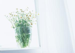 魅力的なエリアにある仙台市泉区の不動産